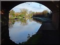 SO8171 : Bridge on the Staffordshire and Worcestershire Canal by Philip Halling