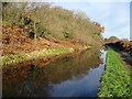 SO8172 : Staffordshire and Worcestershire Canal by Philip Halling