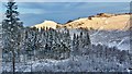 NZ5910 : Roseberry through Gribdale Gap by Mick Garratt