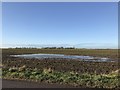 TL3894 : Flooded farmland on Knight's End Road by Richard Humphrey