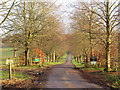 TQ4042 : Driveway to Greathed Manor, Dormansland by Malc McDonald