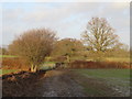 TQ4143 : Footpath in a field, near Dormansland by Malc McDonald