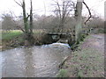 TQ3943 : Footbridge across Eden Brook near Lingfield by Malc McDonald