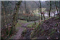 SJ9820 : Footpath on Satnall Hills by Bill Boaden