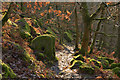 SK2476 : Millstones in the Woods at Froggatt Edge, Derbyshire by Andrew Tryon