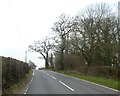 SY2896 : Trees and woodland on west of A358 near Balls Farm by David Smith