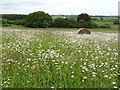 SO8944 : View to former RAF Defford by Philip Halling