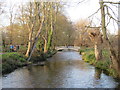 TQ2668 : River Wandle, Morden Hall Park by Malc McDonald