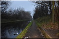 SP0792 : Tame Valley at towpath level - Perry Barr, Birmingham by Martin Richard Phelan