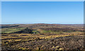 NY9941 : Moorland north of Heathery Burn by Trevor Littlewood