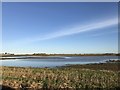 TF3202 : Flooded farmland on Lower Knarr Fen near Thorney by Richard Humphrey