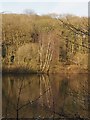 SK3372 : Linacre Reservoir reflection by Graham Hogg