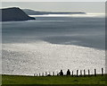 SN0542 : View west across Newport Bay by Mat Fascione