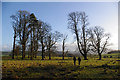 SD5771 : Stand of old trees, Storrs Hall by Ian Taylor