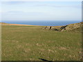 NT8369 : Pasture and rock outcrop on Dowlaw Road by M J Richardson