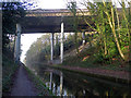 SP0393 : Tame Valley Canal - Scott Bridge by Chris Allen