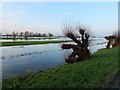 TL2798 : Late afternoon on Whittlesey Wash - The Nene Washes by Richard Humphrey