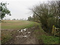 TL4626 : Bridleway at Uppend, near Manuden by Malc McDonald