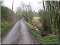 TL4626 : Narrow lane at Uppend, near Manuden by Malc McDonald