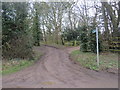 TL4330 : Bridleway, Brent Pelham by Malc McDonald