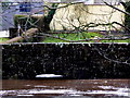 H4772 : High water level at Cranny footbridge by Kenneth  Allen