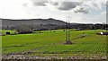 TQ1813 : View WSW towards Chanctonbury Ring - from the footpath near Shelleys by Ian Hawfinch