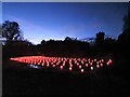 NT2475 : View of Aether & Hemera's 'Voyage' at the Royal Botanic Garden Edinburgh by J W