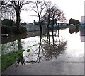 ST3089 : Trees reflected in flood water, Kimberley Park, Newport by Jaggery