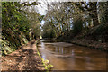 SJ6832 : Tyrley Lock No.3 Cutting, Shropshire Union Canal by Brian Deegan