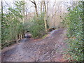 TQ5540 : Footpath and bridleway near Speldhurst by Malc McDonald