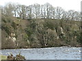 NZ0120 : River cliff below Shipley Wood by Christine Johnstone