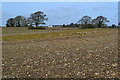 SU7311 : View across bare field towards Woodhouse Lane by David Martin