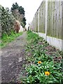 TM1614 : Footpath from Blenheim Road to Park Road by Duncan Graham