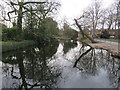 TQ3790 : Pond in Lloyd Park, Walthamstow by Malc McDonald