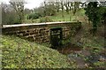 NS3760 : The Middle Cascade, Castle Semple by Richard Sutcliffe