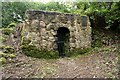 NS3760 : Ice house, Castle Semple by Richard Sutcliffe