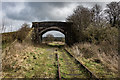 SJ9353 : Bridge Over The Stoke to Leek Line (Disused) by Brian Deegan