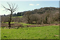 SX7881 : Meadow in the Wray valley by Derek Harper