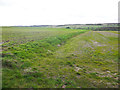 TL2124 : Field boundary bank, Almshoe, St Ippolyts by Humphrey Bolton