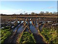 SJ4468 : A muddy field near Mickle Trafford by Jeff Buck