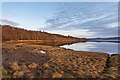 NH5849 : Beauly Firth at Redcastle by valenta