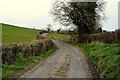 H4074 : Bends along Millbrae Road by Kenneth  Allen