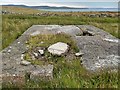 HY2509 : WWII remains, Brinkies Brae, Stromness, Orkney by Claire Pegrum