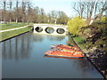 TL4458 : Punting on the Cam, in the time of coronavirus by Keith Edkins