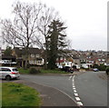 ST3090 : Two deciduous trees on a Malpas corner, Newport by Jaggery