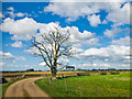 SJ7349 : Blue skies and fluffy clouds by Scott Robinson