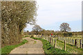 SO9095 : Farm road near Colton Hills in Staffordshire by Roger  D Kidd