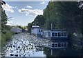 SU8201 : Houseboats on the Chichester Canal by Chris Thomas-Atkin