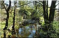 NS5574 : Bridge over the Allander Water by Richard Sutcliffe