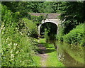 SJ7030 : Cheswardine Bridge No 56 by Mat Fascione